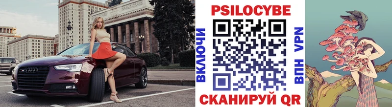Псилоцибиновые грибы Psilocybe  магазин    Южа 