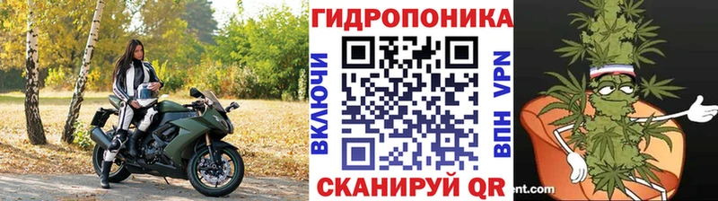 Бошки Шишки планчик  shop формула  Южа  как найти наркотики 